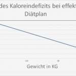 Bauherren Tagebuch Vorlage Erstaunlich Nett Diät Planer Vorlage Zeitgenössisch