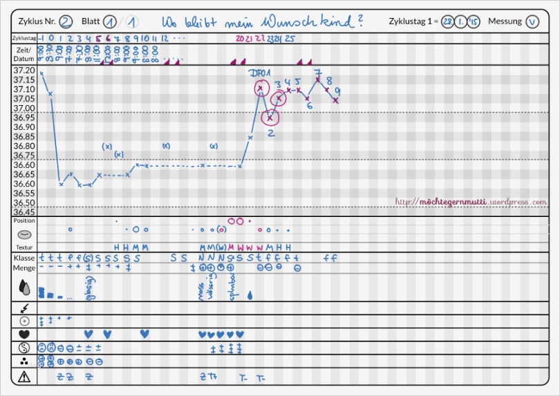 Baustellenbericht Vorlage Inspiration Wunderbar Temperaturdiagramm Vorlage Galerie