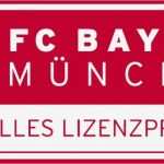 Bautafel Bayern Vorlage Cool Fizieller Feuerkorb Des Fc Bayern Für Ihre Fußballparty