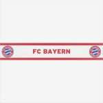 Bautafel Bayern Vorlage Einzigartig Fc Bayern Muenchen Borduere Bayern Logo Rot Weiss
