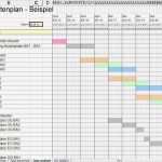 Bauzeitenplan Vorlage Elegant formularis Terminplan Mit Tabellenkalkulation Xls Oder