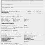 Befund Physiotherapie Vorlage Einzigartig tolle Knochen Vorlage Bilder Entry Level Resume Vorlagen