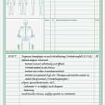 Befund Physiotherapie Vorlage Wunderbar Befund Und therapiedokumentationsbogen Praxisbedarf