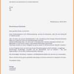 Beileidsschreiben Vorlage Einzigartig 13 Anschreiben Erzieher