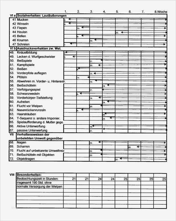 Beobachtungsprotokoll Vorlage Angenehm Petwatch Fuer Partnerschaft Mensch Hund