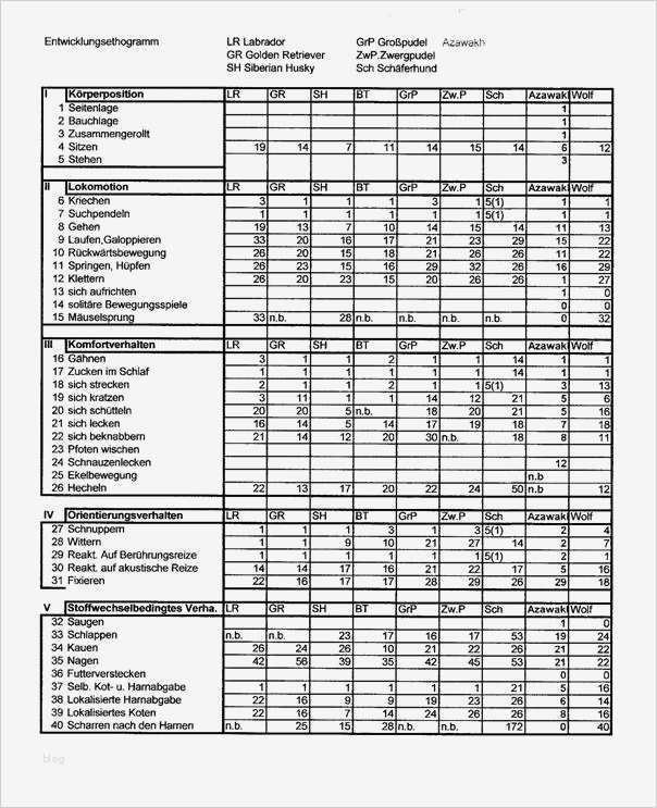 Beobachtungsprotokoll Vorlage Neu Die Azawakhs Ii