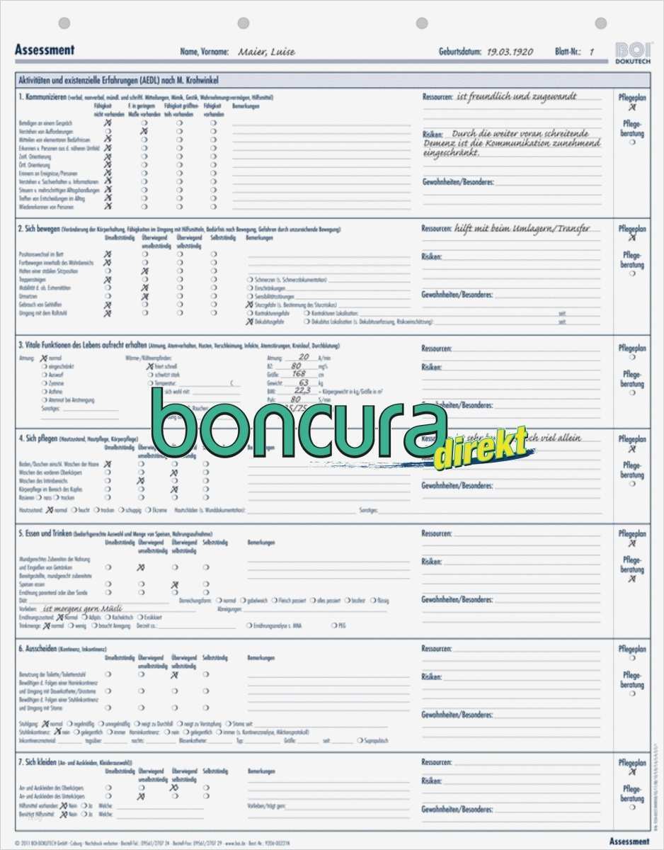 Beratungsprotokoll Pflege Vorlage Genial Pflegeanamnese Aedl assessment