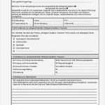 Beratungsprotokoll Pflege Vorlage Inspiration formulare &amp; Protokolle