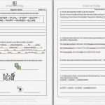 59 Wunderbar Bericht Schreiben Vorlage Abbildung 49 Bericht Schreiben Vorlage Schön Schön Wort Tageskalender Vorlage Ideen Entry Level