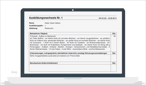 Berichtsheft Koch Vorlage Gut Berichtsheft Systemgastronomie