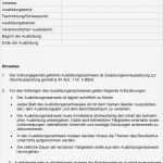 Berichtsheft Mfa Vorlage Erstaunlich Erfreut Ausbildungsnachweis Ideen Bilder Für Das