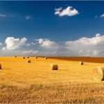 Berichtsheft Vorlage Ihk Baden Württemberg Bewundernswert Aktuelle Entwicklungen In Der Agrarpolitik In Bw