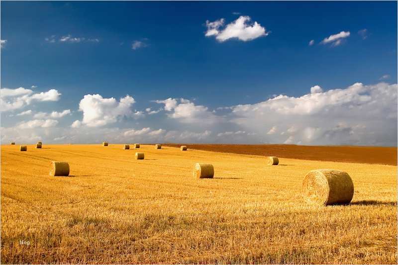 Berichtsheft Vorlage Ihk Baden Württemberg Bewundernswert Aktuelle Entwicklungen In Der Agrarpolitik In Bw