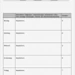 Berichtsheft Vorlage Word Neu Berichtsheft Ausbildung Vorlage Word