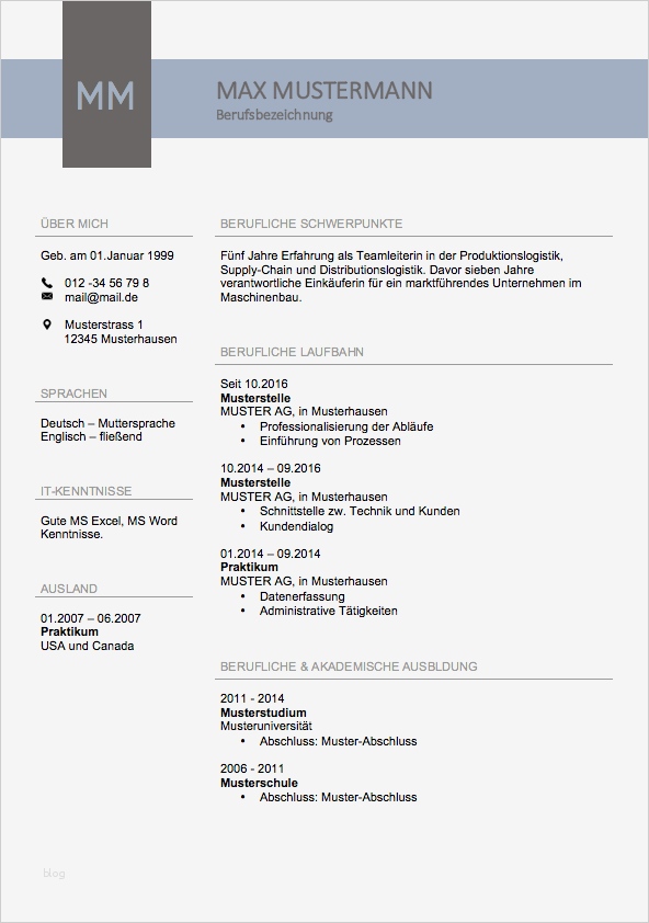 Berufsbild Vorlage Best Of Lebenslauf 2017 Meinebewerbung