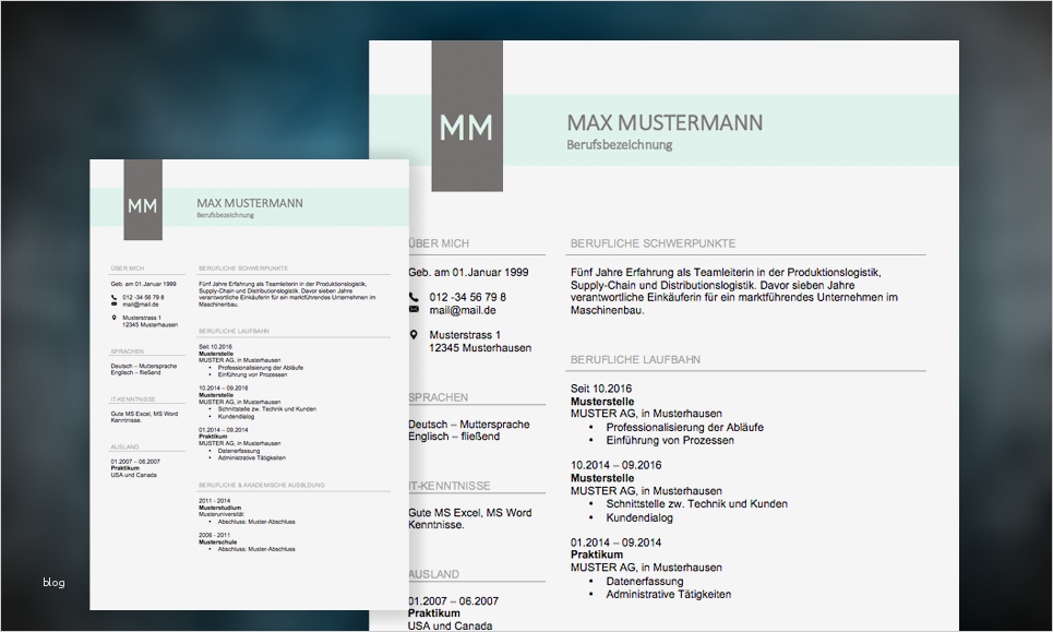 Berufsbild Vorlage Elegant Lebenslauf Muster 2017 Meinebewerbung