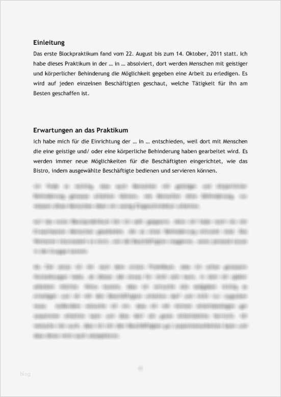 Berufsbild Vorlage Gut Praktikumsbericht soziale Arbeit In Einer