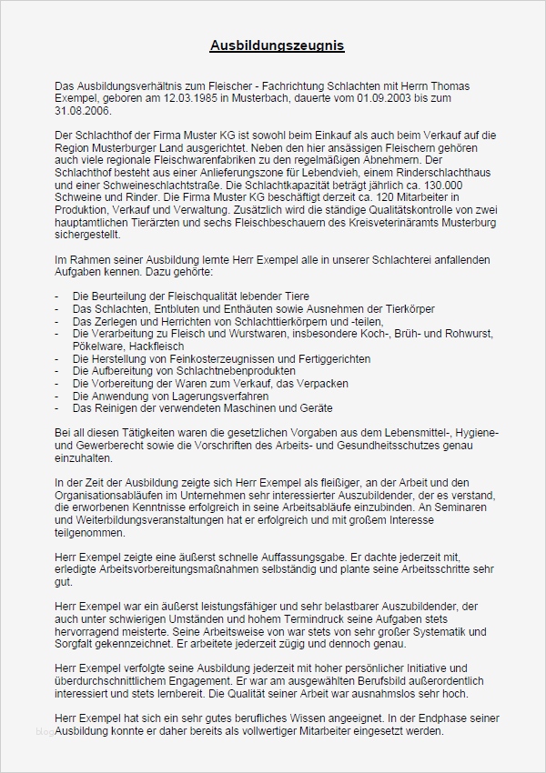 Berufsbild Vorlage Wunderbar Er Fachrichtung Schlachten Sehr Gut Muster Zum Download