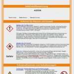 Betriebsanleitung Vorlage Cool Großartig Betriebsanweisungen Vorlage Galerie