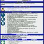 Betriebsanleitung Vorlage Einzigartig Beste Standardarbeitsanweisungen Vorlage Fotos