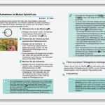 Betriebsanleitung Vorlage Schönste Canon Eos M3 Be Nungsanleitung Download Chip