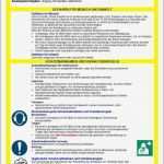 Betriebsanleitung Vorlage Süß Großartig Betriebsanweisungen Vorlage Galerie