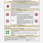 Betriebsanleitung Vorlage Süß Wunderbar Betriebsanweisungen Vorlage Zeitgenössisch