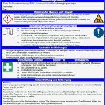 Betriebsanweisung Vorlage Einzigartig Vertrag Vorlage Digitaldrucke Betriebsanweisung