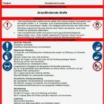 Betriebsanweisung Vorlage Fabelhaft Vertrag Vorlage Digitaldrucke Betriebsanweisung