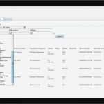 Betriebskonzept software Vorlage Schön Beste asset Management Vorlage Galerie Entry Level