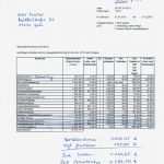 54 Angenehm Betriebskostenabrechnung Vorlage Bilder 45 Betriebskostenabrechnung Vorlage Bewundernswert Nebenkostenabrechnung Eigentumswohnung