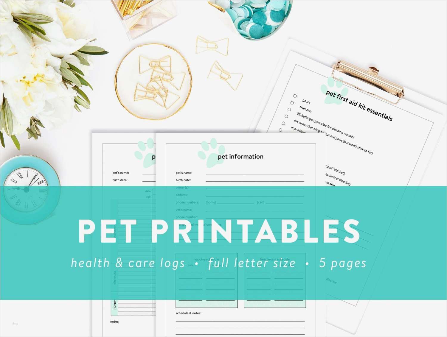 Bewerbung Babysitter Vorlage Luxus Schön Babysitter Werbung Vorlage Ideen Beispiel