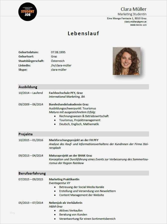 Bewerbung Babysitter Vorlage Schön Lebenslauf Standard 20 Lebenslauf 20 Seite 201 Profil