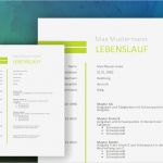Bewerbung Deckblatt Vorlage Kostenlos Download Erstaunlich Lebenslauf Bewerbung Muster Grün Meinebewerbung