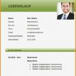 Bewerbung Doc Vorlage Erstaunlich 10 Lebenslauf Bankkaufmann