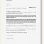 Bewerbung Friseur Vorlage Einzigartig 19 Deckblatt Friseur