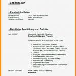 Bewerbung Friseur Vorlage Einzigartig 7 Bewerbung Friseur