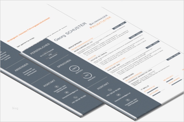 Bewerbung Geschäftsführer Vorlage Beste Bewerbung Muster Lebenslauf Vorlage