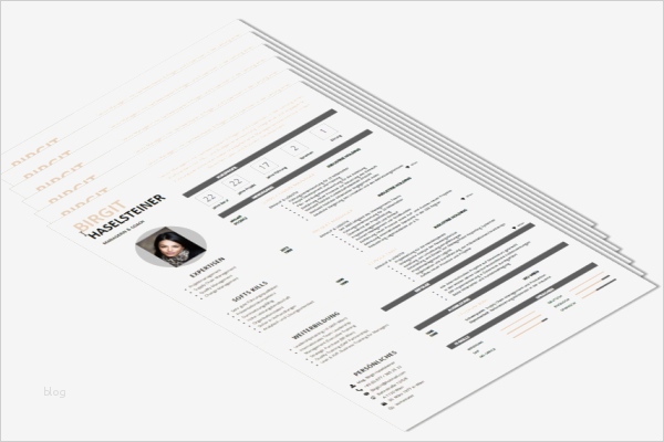 Bewerbung Geschäftsführer Vorlage Erstaunlich Bewerbung Muster Lebenslauf Vorlage