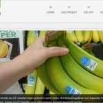 Bewerbung Kantine Vorlage Erstaunlich Gemütlich Lebensmittel Manager Lebenslauf Bilder Bilder