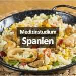 Bewerbung Kantine Vorlage Schön Berühmt Spanische Bewerbungsvorlage Galerie Entry Level