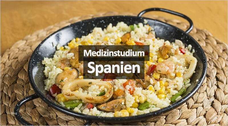 Bewerbung Kantine Vorlage Schön Berühmt Spanische Bewerbungsvorlage Galerie Entry Level