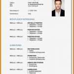 Bewerbung Lebenslauf Vorlage Erstaunlich 6 Lebenslauf Uni Bewerbung