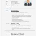 Bewerbung Lebenslauf Vorlage Fabelhaft Bewerbung Muster Dokument Blogs