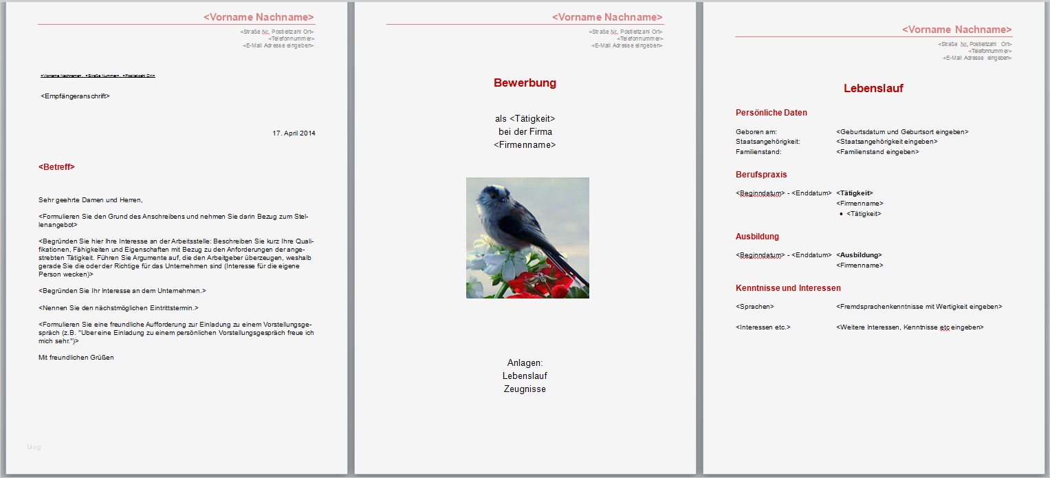 Bewerbung Lebenslauf Vorlage Word Kostenlos Erstaunlich Bewerbungsvorlagen Word 2010