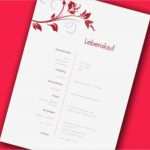 Bewerbung Medizinische Fachangestellte Vorlage Großartig Ausformulierter Lebenslauf Lebenslauf Beispiel