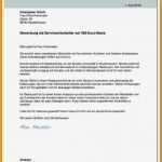 Bewerbung Muster Vorlage Fabelhaft 13 Bewerbung Muster Minijob