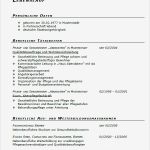 Bewerbung Pflegedienstleitung Vorlage Bewundernswert Besser Argumentieren Mit Strken Fachinformatiker