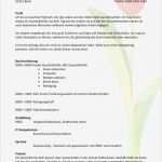 Bewerbung Pflegedienstleitung Vorlage Erstaunlich tolle Arbeitgeber Lebenslauf Bestätigung Brief