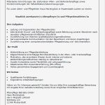 Bewerbung Pflegedienstleitung Vorlage Fabelhaft Bewerbungsmuster Pflege Nstleiterin Pflege Nstleiter